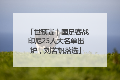 世预赛｜国足客战印尼25人大名单出炉，刘若钒落选