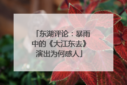 东湖评论：暴雨中的《大江东去》演出为何感人