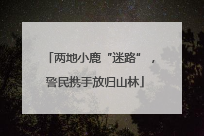 两地小鹿“迷路”，警民携手放归山林