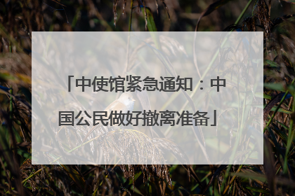 中使馆紧急通知：中国公民做好撤离准备