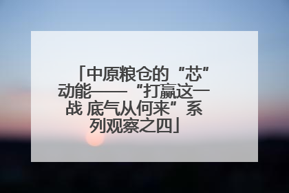 中原粮仓的“芯”动能——“打赢这一战 底气从何来”系列观察之四