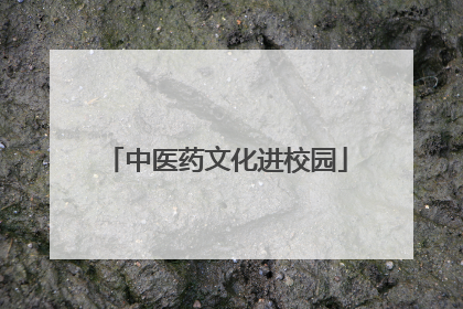 中医药文化进校园