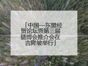中国—东盟经贸论坛暨第三届链博会推介会在吉隆坡举行