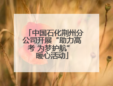 中国石化荆州分公司开展“助力高考 为梦护航” 暖心活动