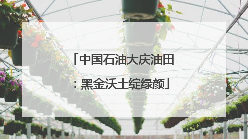 中国石油大庆油田：黑金沃土绽绿颜