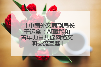 中国外文局副局长于运全：AI赋能和青年力量共促网络文明交流互鉴