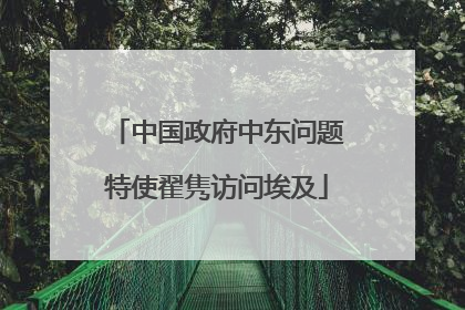 中国政府中东问题特使翟隽访问埃及