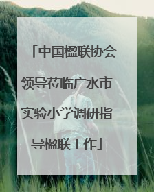 中国楹联协会领导莅临广水市实验小学调研指导楹联工作