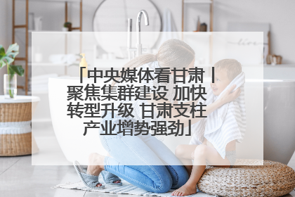 中央媒体看甘肃丨聚焦集群建设 加快转型升级 甘肃支柱产业增势强劲