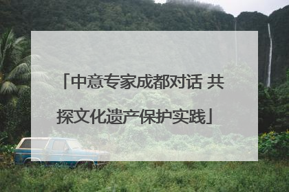 中意专家成都对话 共探文化遗产保护实践