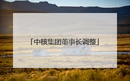 中核集团董事长调整