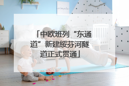 中欧班列“东通道”新建绥芬河隧道正式贯通