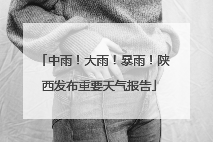 中雨！大雨！暴雨！陕西发布重要天气报告