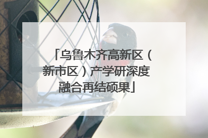 乌鲁木齐高新区（新市区）产学研深度融合再结硕果