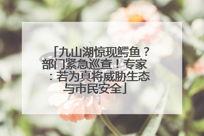 九山湖惊现鳄鱼？部门紧急巡查！专家：若为真将威胁生态与市民安全