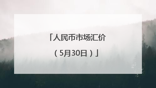 人民币市场汇价（5月30日）