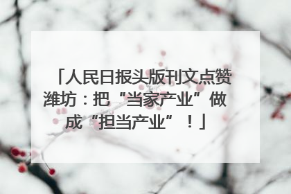 人民日报头版刊文点赞潍坊：把“当家产业”做成“担当产业”！