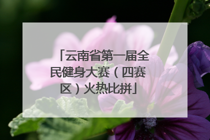 云南省第一届全民健身大赛（四赛区）火热比拼