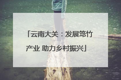 云南大关：发展筇竹产业 助力乡村振兴