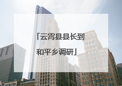 云霄县县长到和平乡调研