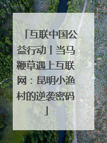 互联中国公益行动丨当马鞭草遇上互联网：昆明小渔村的逆袭密码