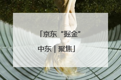 京东“掘金”中东｜聚焦