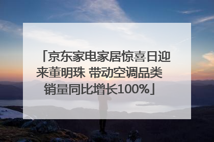 京东家电家居惊喜日迎来董明珠 带动空调品类销量同比增长100%