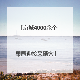 京城4000余个果园迎接采摘客