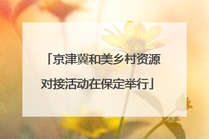 京津冀和美乡村资源对接活动在保定举行
