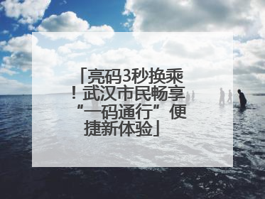 亮码3秒换乘！武汉市民畅享“一码通行”便捷新体验