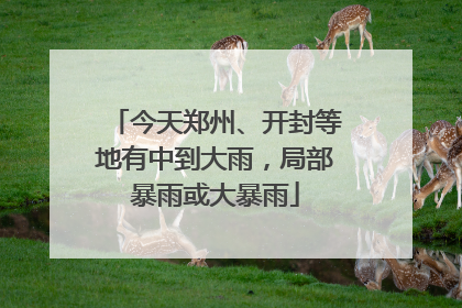 今天郑州、开封等地有中到大雨，局部暴雨或大暴雨
