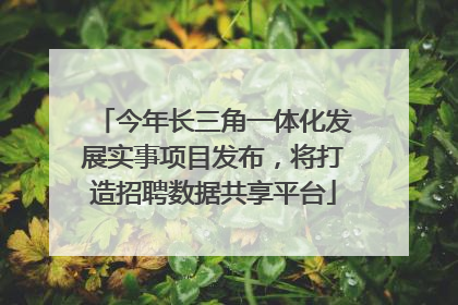 今年长三角一体化发展实事项目发布，将打造招聘数据共享平台