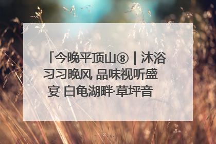 今晚平顶山⑧｜沐浴习习晚风 品味视听盛宴 白龟湖畔·草坪音乐会激情上演