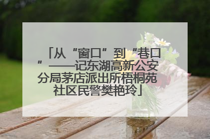 从“窗口”到“巷口”——记东湖高新公安分局茅店派出所梧桐苑社区民警樊艳玲