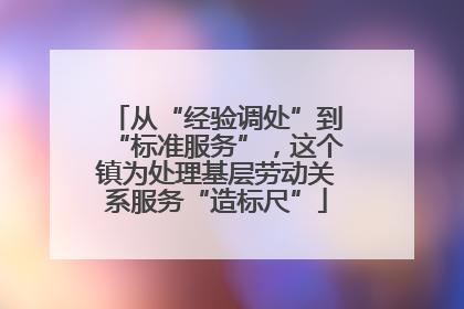 从“经验调处”到“标准服务”，这个镇为处理基层劳动关系服务“造标尺”