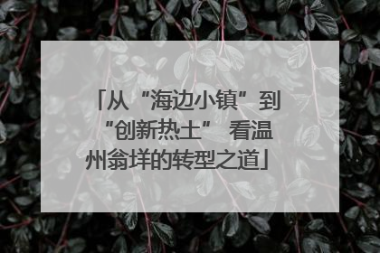 从“海边小镇”到“创新热土” 看温州翁垟的转型之道
