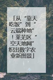 从“靠天吃饭”到“云端种地”！莱芜区“空天地网”织出数字农业新图景
