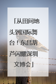 从田间地头到国际舞台！东昌葫芦闪耀深圳文博会