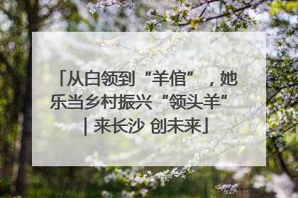 从白领到“羊倌”，她乐当乡村振兴“领头羊”｜来长沙 创未来