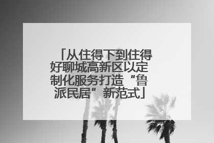 从住得下到住得好聊城高新区以定制化服务打造“鲁派民居”新范式