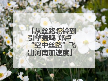 从丝路驼铃到引擎轰鸣 郑卢“空中丝路”飞出河南加速度