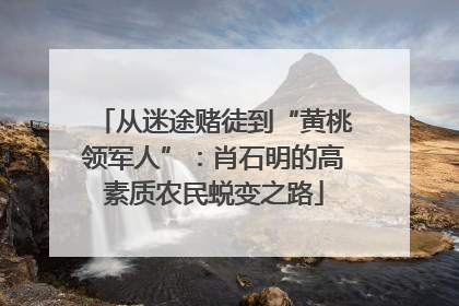从迷途赌徒到“黄桃领军人”：肖石明的高素质农民蜕变之路
