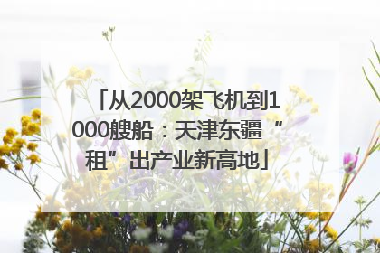 从2000架飞机到1000艘船：天津东疆“租”出产业新高地