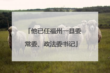 他已任福州一县委常委、政法委书记