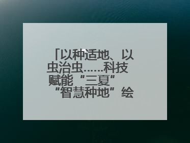 以种适地、以虫治虫……科技赋能“三夏” “智慧种地”绘就好“丰”景