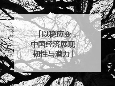 以稳应变，中国经济展现韧性与潜力