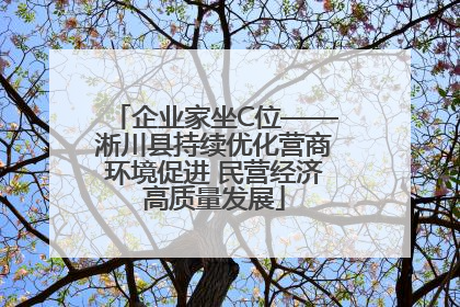 企业家坐C位——淅川县持续优化营商环境促进 民营经济高质量发展