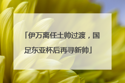 伊万离任土帅过渡，国足东亚杯后再寻新帅