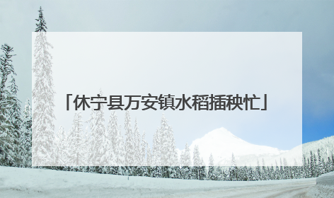 休宁县万安镇水稻插秧忙