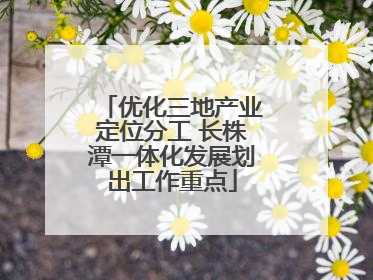 优化三地产业定位分工 长株潭一体化发展划出工作重点